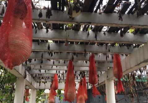 京城印象老北京布鞋